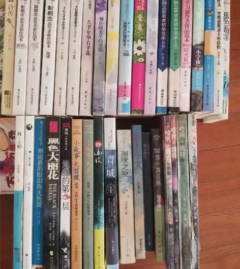 闲置小说 散文 校园青春文学 买回来几乎没...