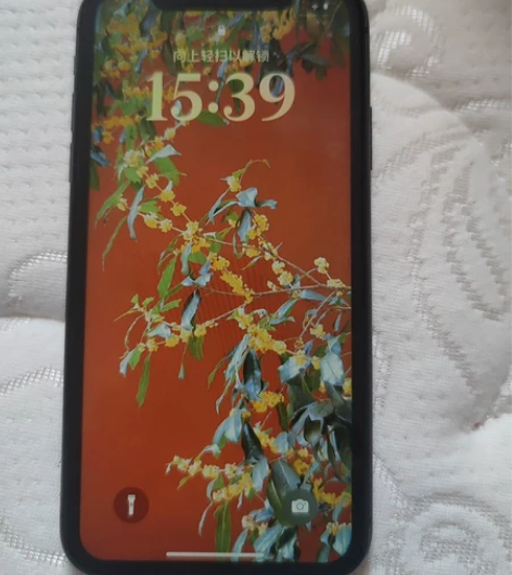 国行苹果11 ipone11，64g双卡双...
