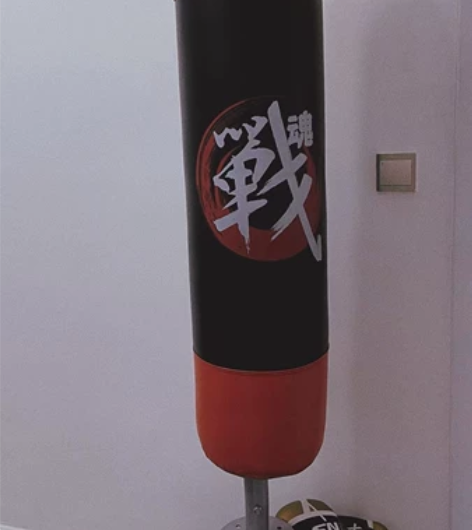 施耐德拳击沙袋拳击手套 感兴趣的话点“我想...