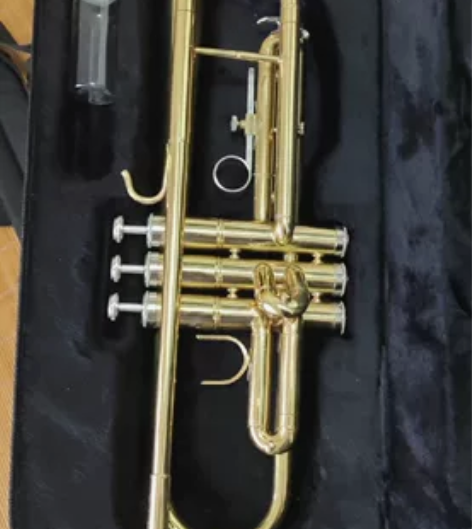 处理小号!买来没怎么吹! 感兴趣的话点“我...