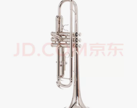 塞德森（SAIDESEN） 小号乐器 降B...