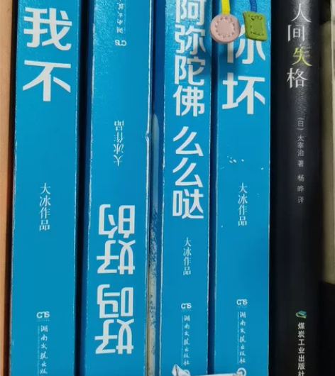 大冰书 12一本 三本包邮