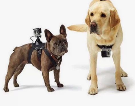GoPro狗带 狗狗背带 胸前背部两用 买...