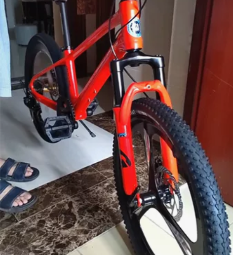 对标捷安特喜德盛美利达的天津Goose品牌...