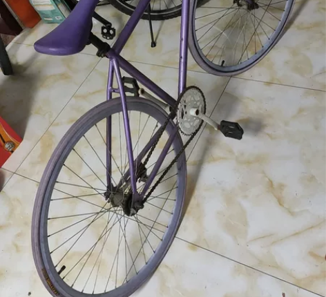 死飞。长时间不骑橡胶部件都老化了。懒得折腾...