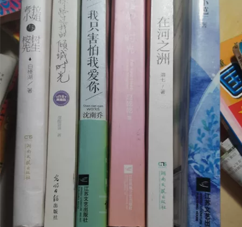 搬家带不走了 青春校园言情小说 爱格 花火...