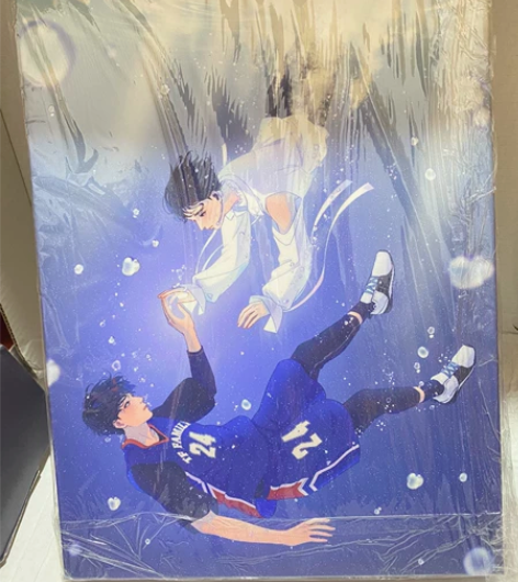 出 刘耀文无框画 未拆保护膜 送set里的...