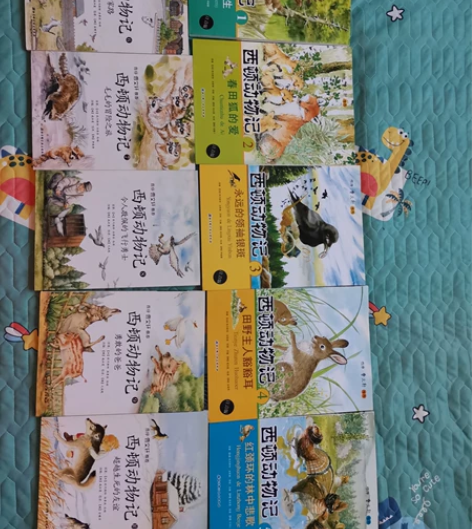 孩子看过的正版图书,闲置出售。书籍保护很好...