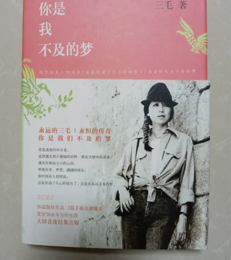 正品正版你是我不及的梦梦里花落知多少三毛著...