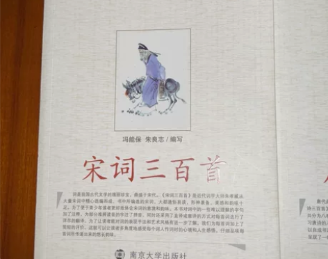 唐诗宋词三百首 12/本 20两本不包邮 ...