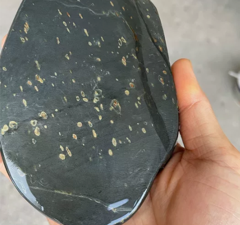 金星坑金星 金晕老坑歙砚尺寸：14×8.5...