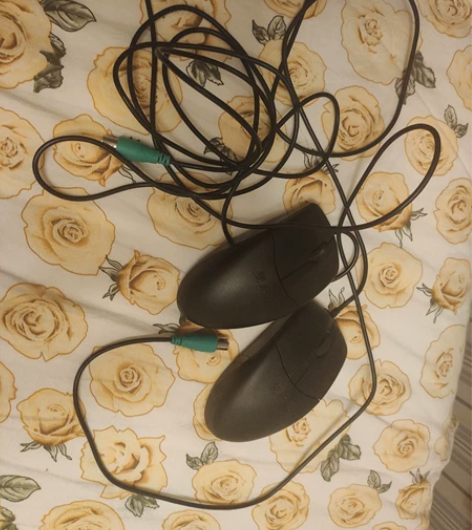 双飞燕鼠标OP520-NP 两个。自己电脑...