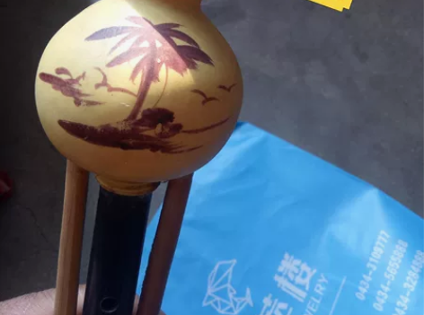 卖葫芦丝,四平车站乐器店买的,也没时间学,...