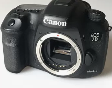 佳能7Dmark2 半幅单反机王 成色一般...