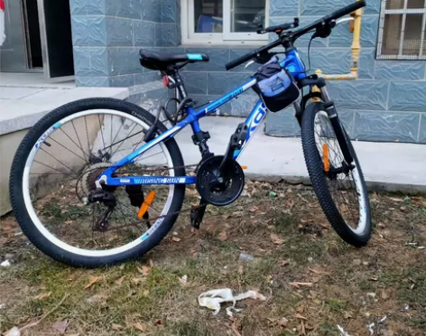 国内第一品牌 XDS/喜德盛RISING ...