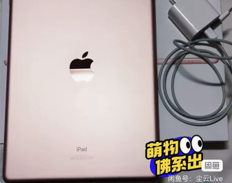 iPad 2020款128G金色原充原线包...