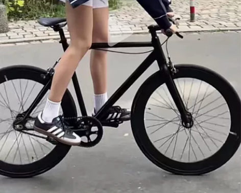 SABRE固齿死飞铝合金破风 就这一台特价...