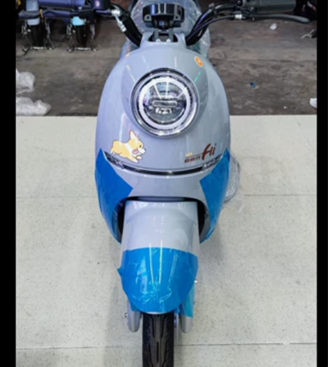 全新国标车电动车 全新全新 可上长期牌 电...