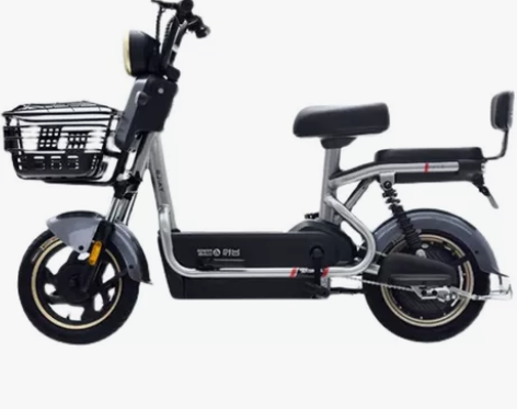 台铃新国标电动自行车，锂电池的，不是便宜的...