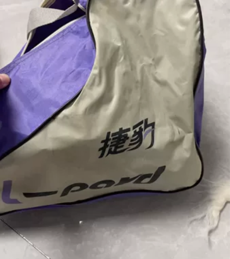 捷豹溜冰鞋儿童 轮滑鞋滑冰鞋旱冰鞋 初学者...