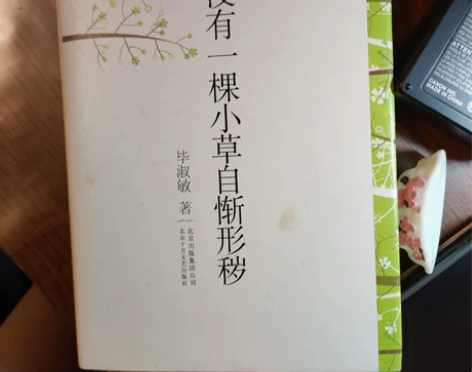 毕淑敏 没有一棵小草形惭自秽 散文 搬家清...