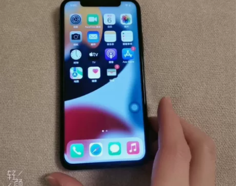 苹果手机iPhone X,256G内存,黑...