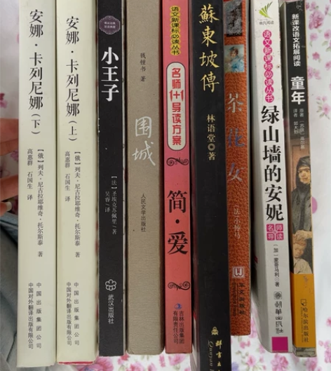 《安娜 卡列尼娜》《小王子》《围城》《简爱...