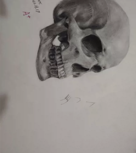素描[炭笔]美术作品/精品鉴赏 感兴趣的话...