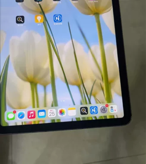 2020款 iPad  Air4代 10....