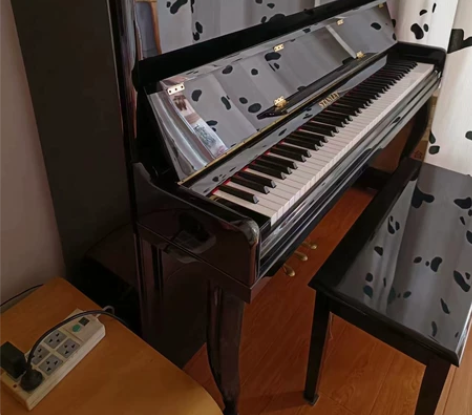 国产钢琴高性价比 适合孩子,退休人士 几乎...