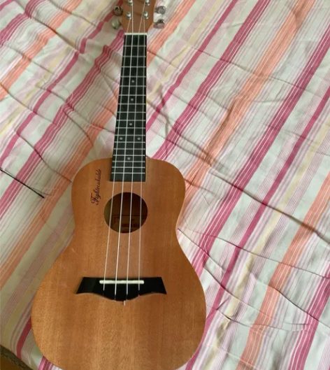 尤克里里没用过几次，懂音乐的可以买来学习，...