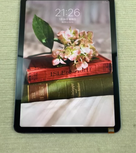 iPad Air4 四代 10.9寸256...
