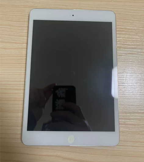 自用iPad mini1  16g。换过屏...