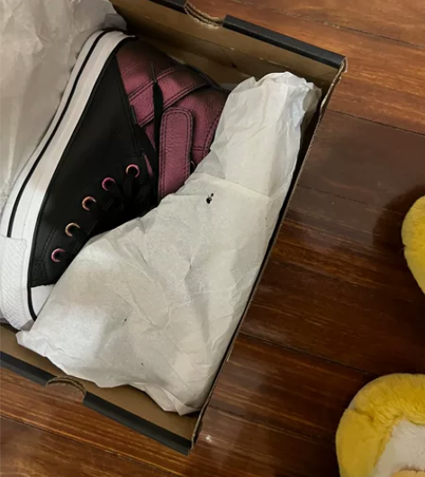 Converse All Star 匡威 ...