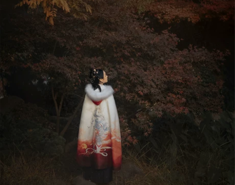 七月夕 沧海遗梦 绝版限量 汉服冬款印花斗...