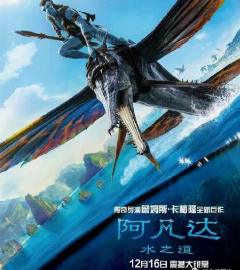 出阿凡达电影票两张单张40元，新余通票各大...