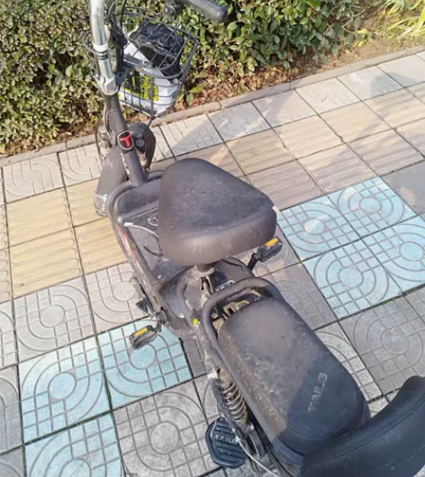 不骑了，台铃电动车48v12A，转给需要的...