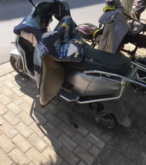 台铃小豹子电动车，车架很新，车子也很扎实，...
