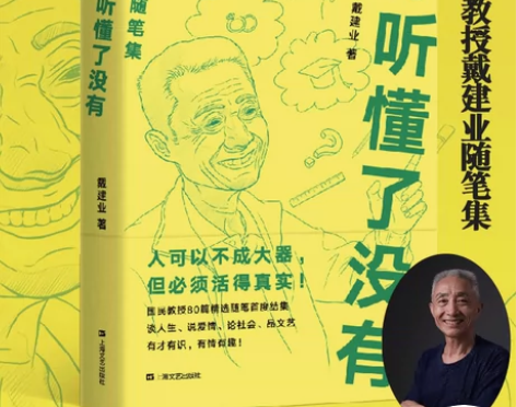 【新华书店 正版书籍】你听懂了没有 戴建业...