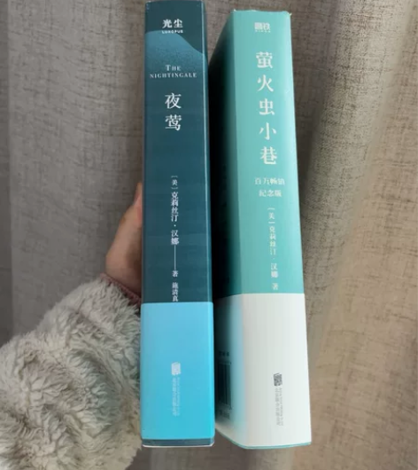 外国文学·畅销小说：《夜莺》《萤火虫小巷》...