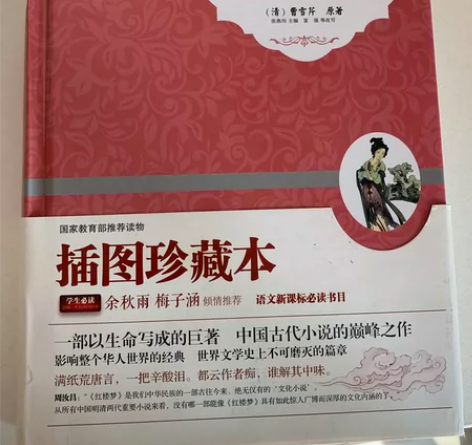 红楼梦 （青少版）余秋雨梅子涵 中小学生课...