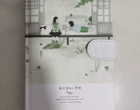两个很好看的本子,可以做手账本,日记本啦,...