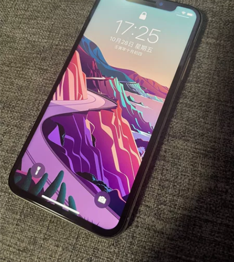 出自用iPhone X 无磕碰，无维修 边...