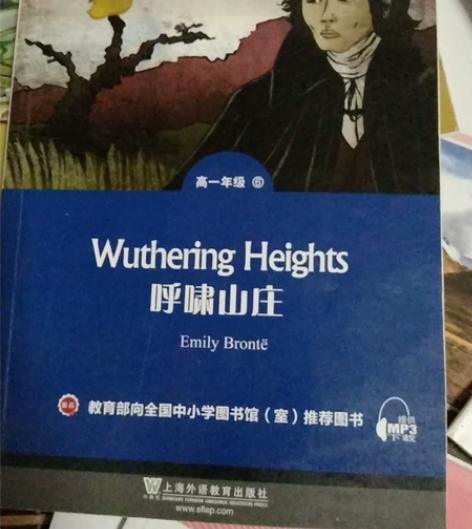 呼啸山庄黑布林高中必读英文版 八成新轻微使...