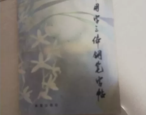 常用字三体钢笔字帖。刘大卫。 售出不退。 ...