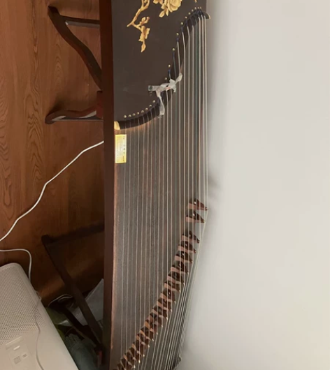 焦桐古筝,基本闲置,送曲谱架 感兴趣的话点...