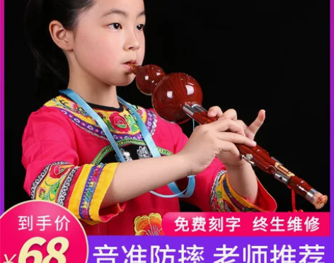 子乐葫芦丝初学者c调降b调成人小学生入门专...