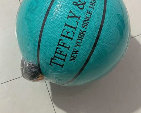 全新 标准篮球 7号的, 送气针网兜,...