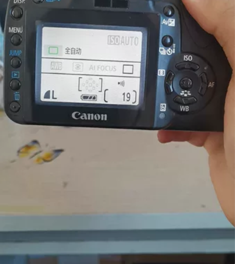 佳能EOS400d单反套机 单机+1...