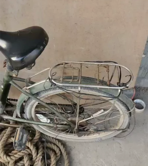 菲利普自行车骑着很轻松原装坐垫和标都在，质...